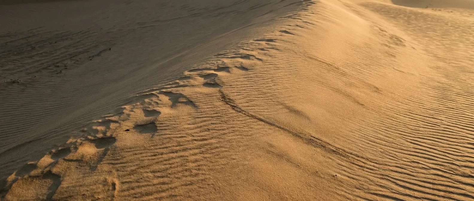 Sanddüne im warmen Abendlicht